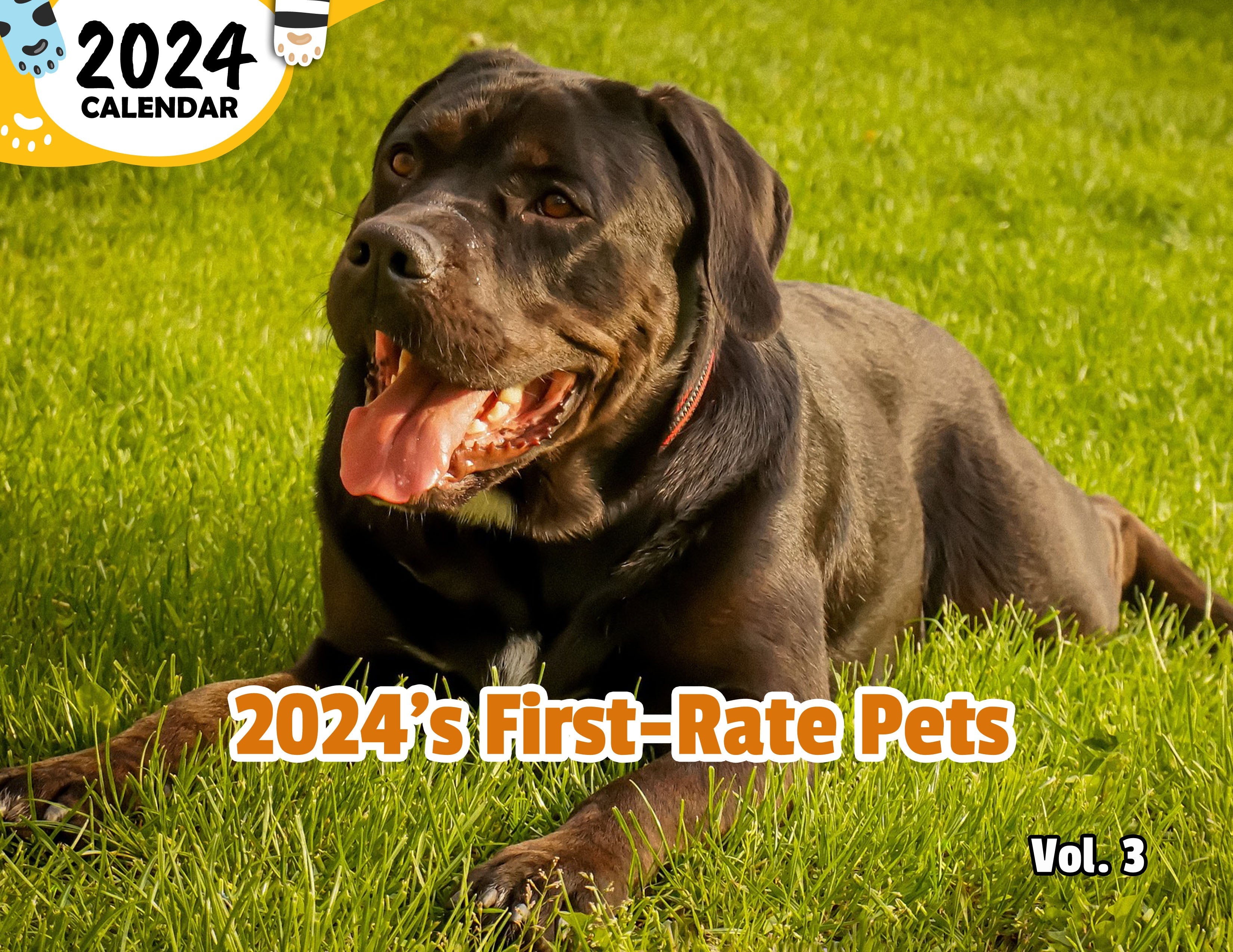 2024 S First Rate Pets Volume Three 2024 Wall Calendar Pre Order   2024 SFirst RatePetsVolumeThree 