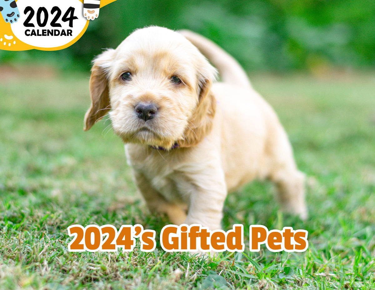 2024's Gifted Pets: 2024 Wall Calendar (Published) – Praise My Pet!