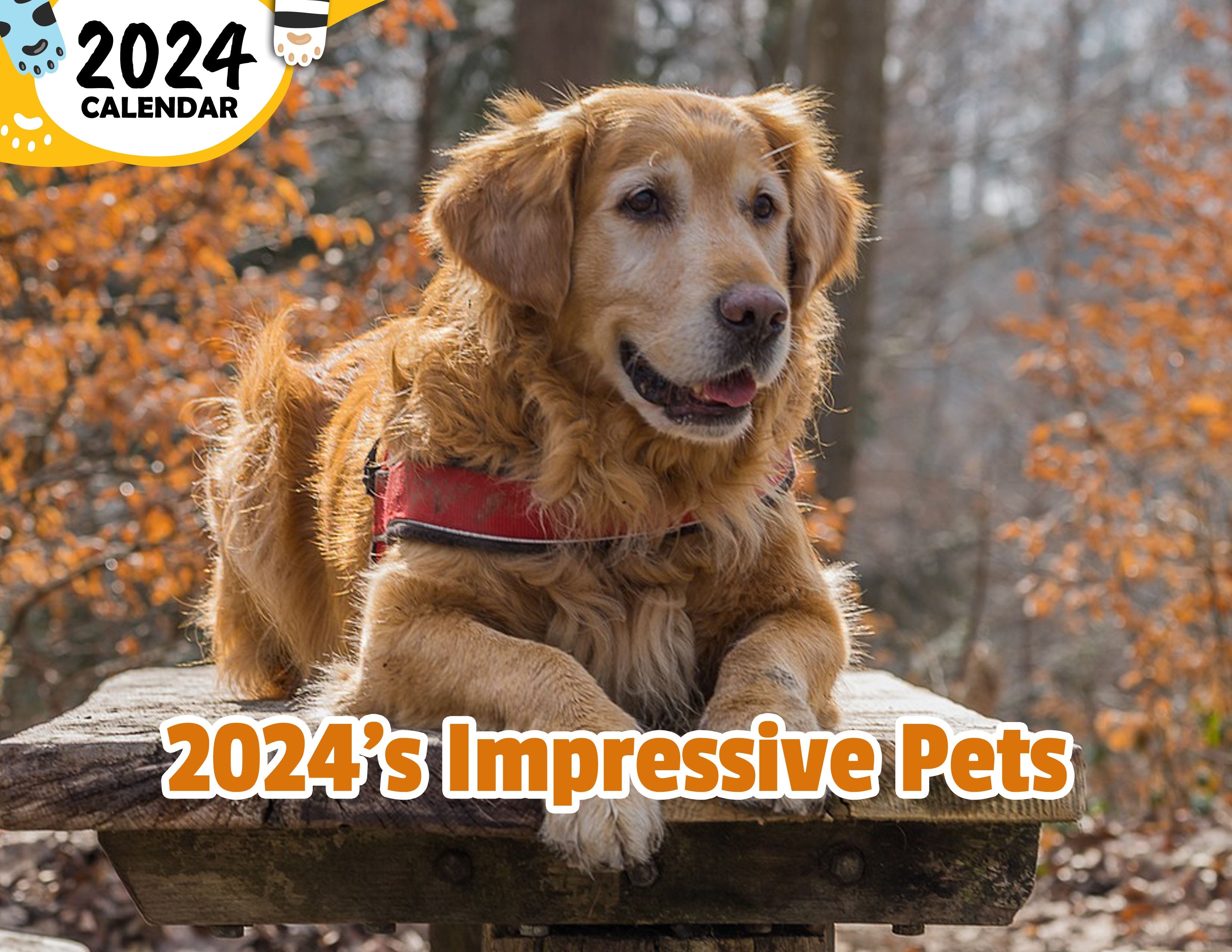 2024's Impressive Pets 2024 Wall Calendar (PreOrder) Praise My Pet!