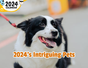 2024's Intriguing Pets: 2024 Wall Calendar (Published)