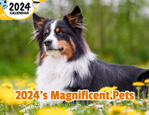 2024's Magnificent Pets: 2024 Wall Calendar (Published)