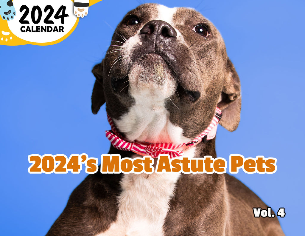 2024's Most Astute Pets Volume Four 2024 Wall Calendar (PreOrder