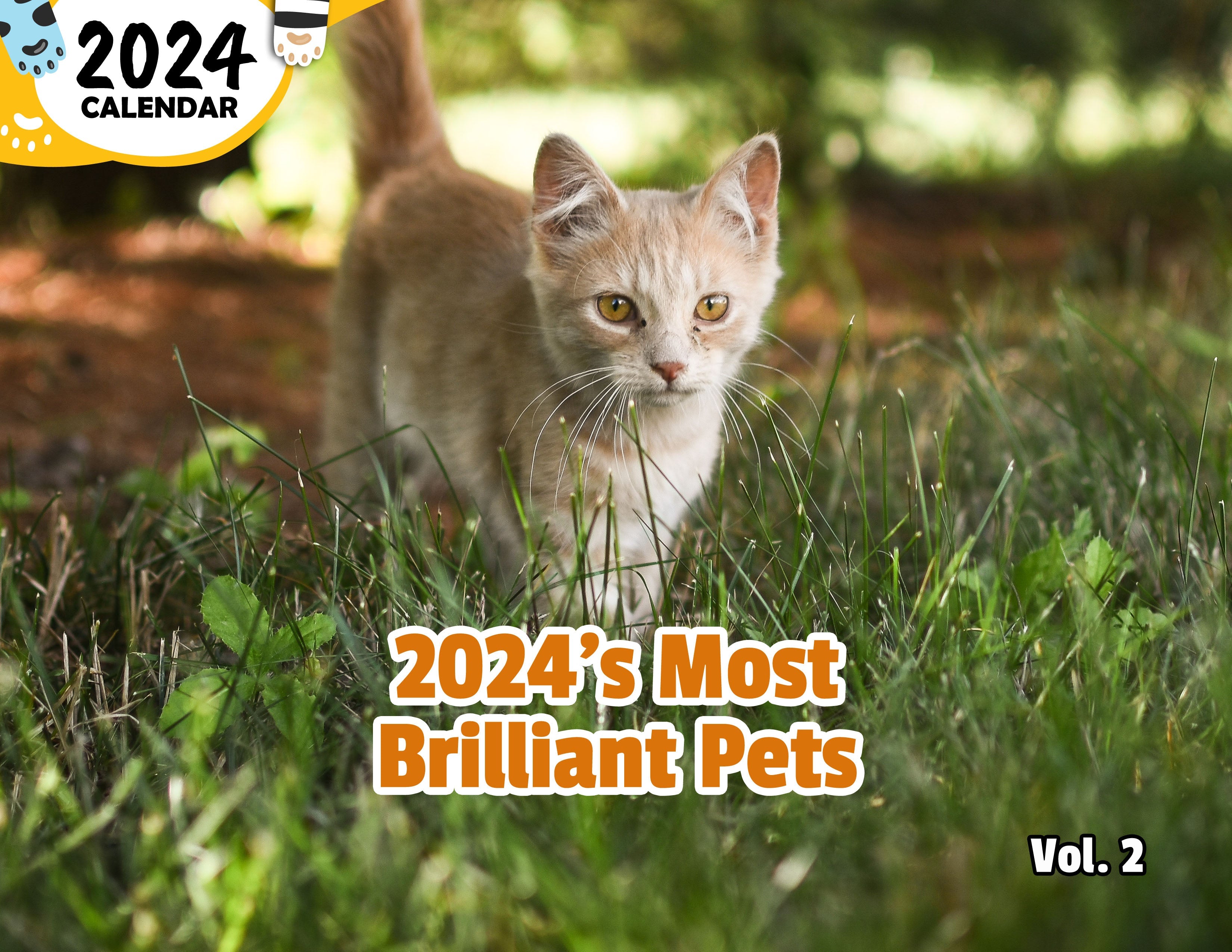 2024's Most Brilliant Pets Volume Two 2024 Wall Calendar (Published