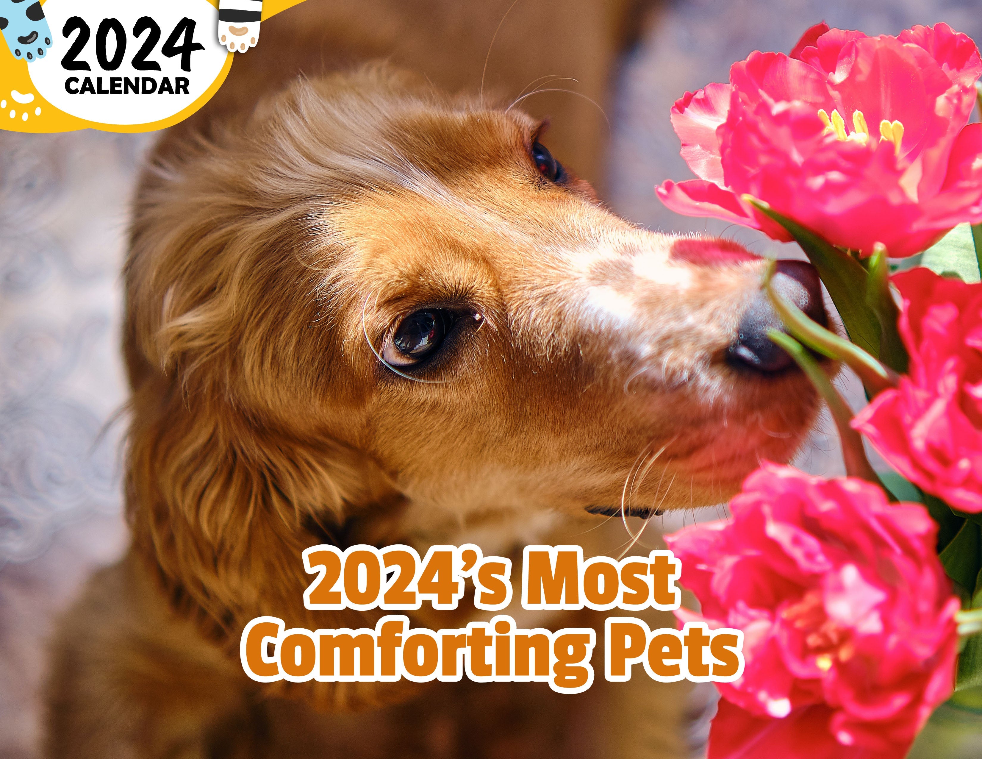 2024's Most Comforting Pets 2024 Wall Calendar (Published) Praise My