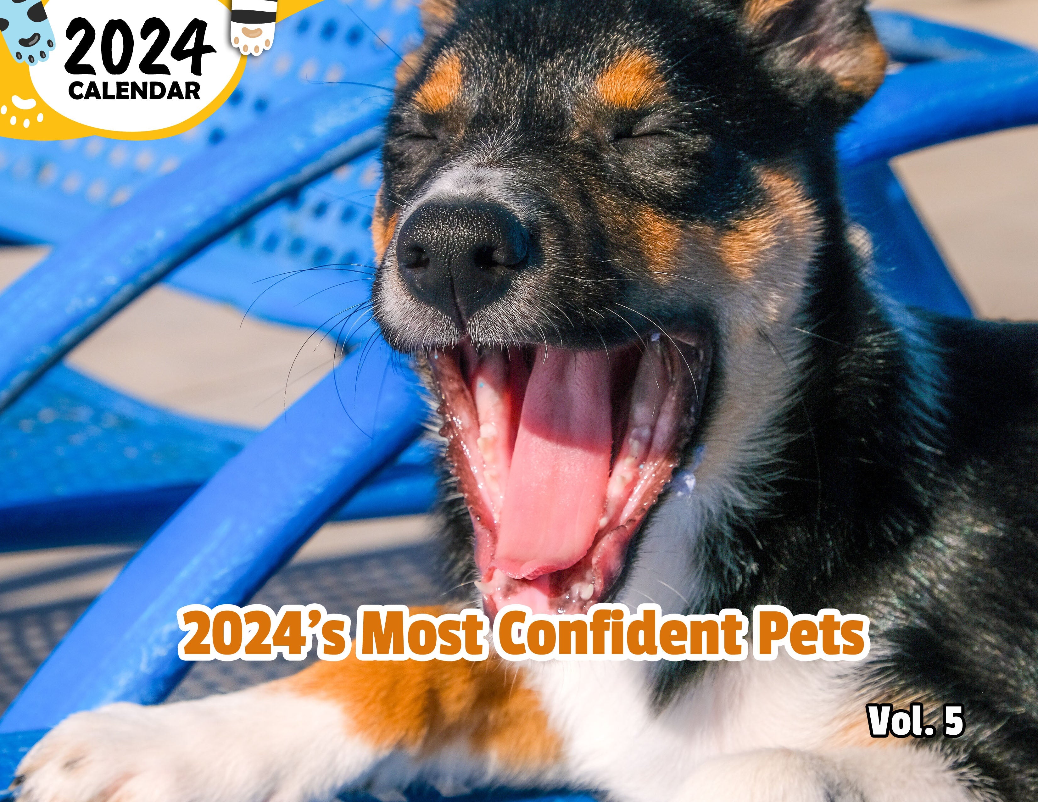 2024's Most Confident Pets Volume Five 2024 Wall Calendar (PreOrder