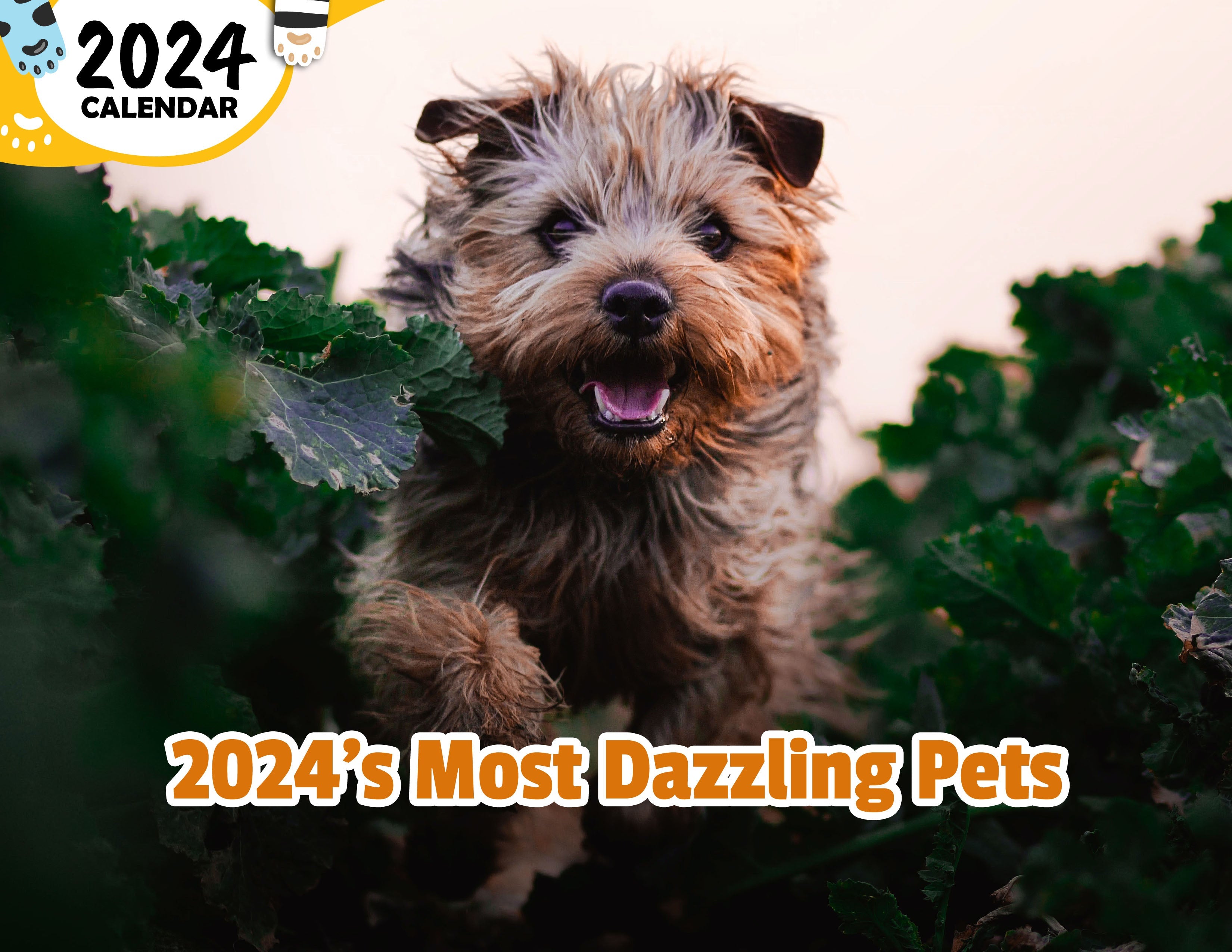 2024's Most Dazzling Pets 2024 Wall Calendar (PreOrder) Praise My Pet!