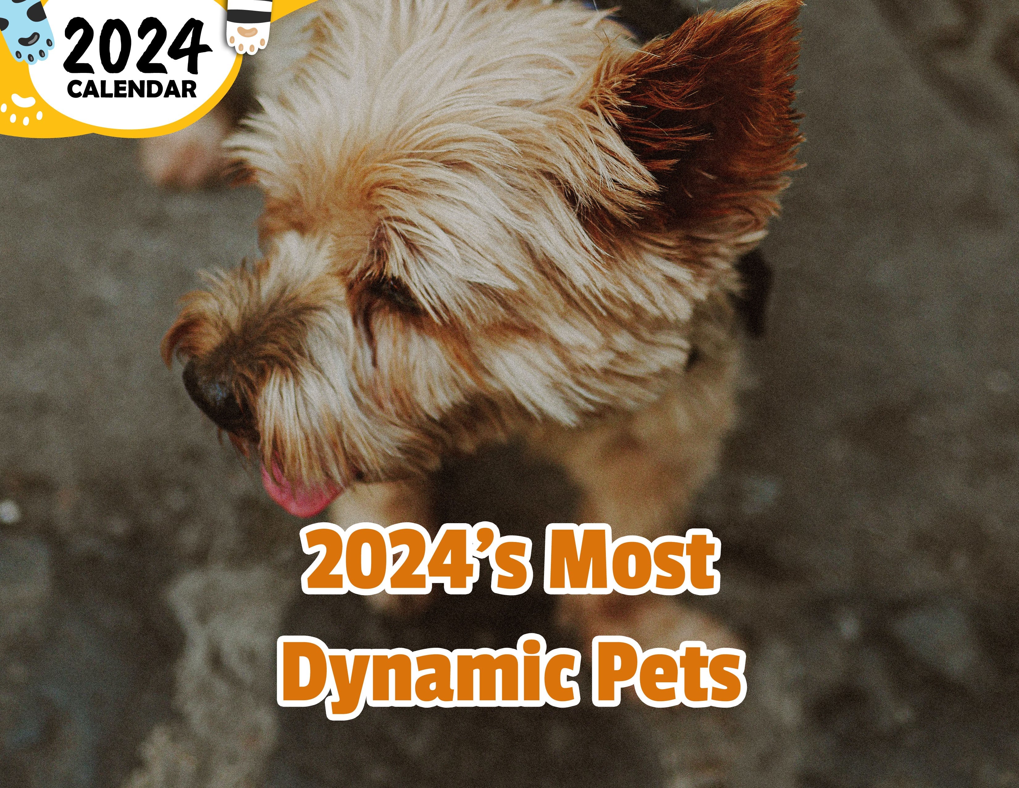 2024's Most Dynamic Pets 2024 Wall Calendar (Published) Praise My Pet!