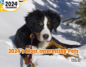 2024's Most Interesting Pets Volume Eleven: 2024 Wall Calendar (Published)