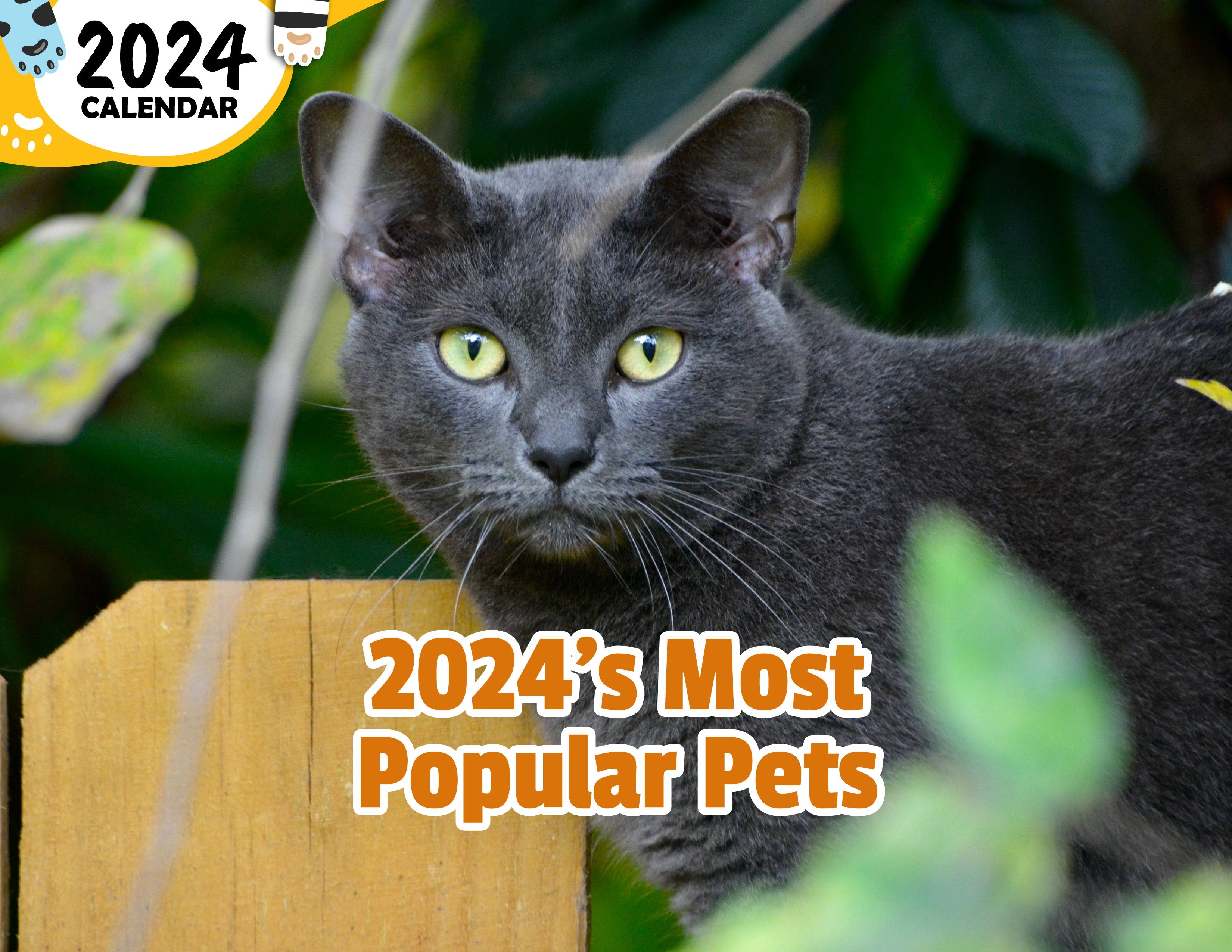 2024's Most Popular Pets 2024 Wall Calendar (Published) Praise My Pet!