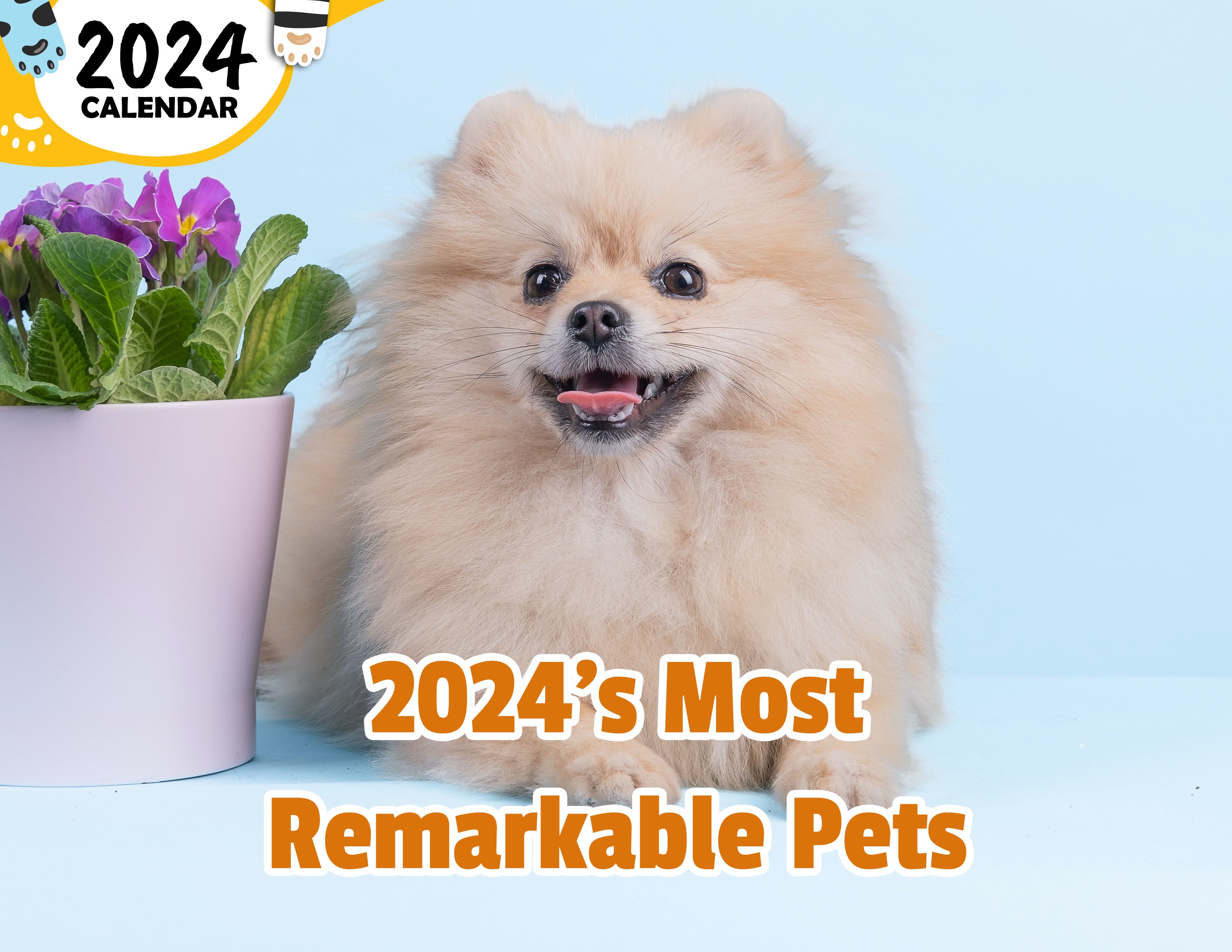 2024's Most Remarkable Pets: 2024 Wall Calendar (Published)