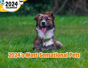 2024's Most Sensational Pets: 2024 Wall Calendar (Published)