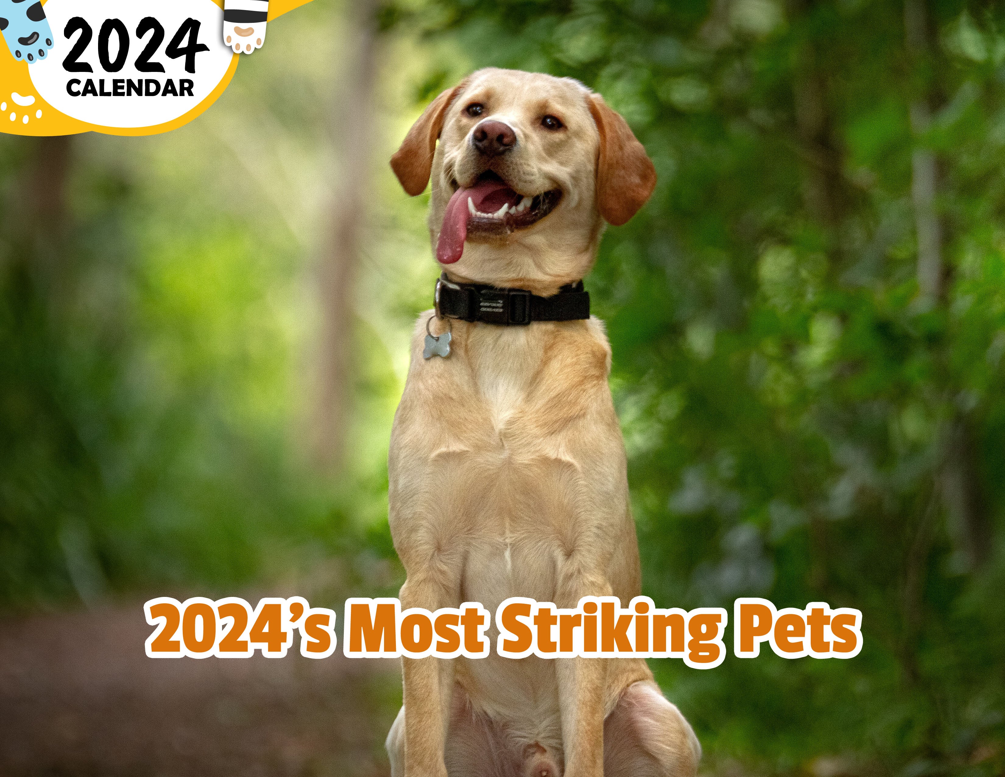 2024's Most Striking Pets: 2024 Wall Calendar (Published)