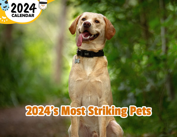 2024 S Most Striking Pets 2024 Wall Calendar Published Praise My Pet   2024 SMostStrikingPets Grande 