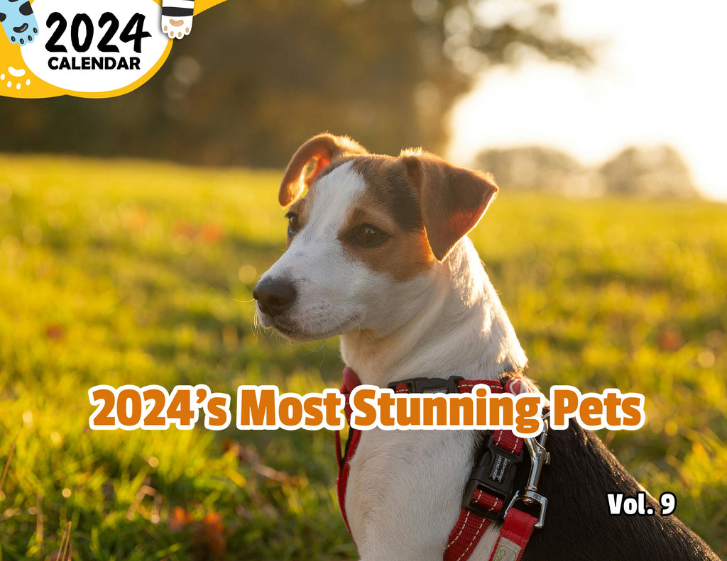 2024's Most Stunning Pets Volume Nine 2024 Wall Calendar (PreOrder