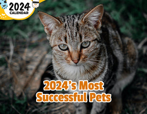 2024's Most Successful Pets: 2024 Wall Calendar (Published)