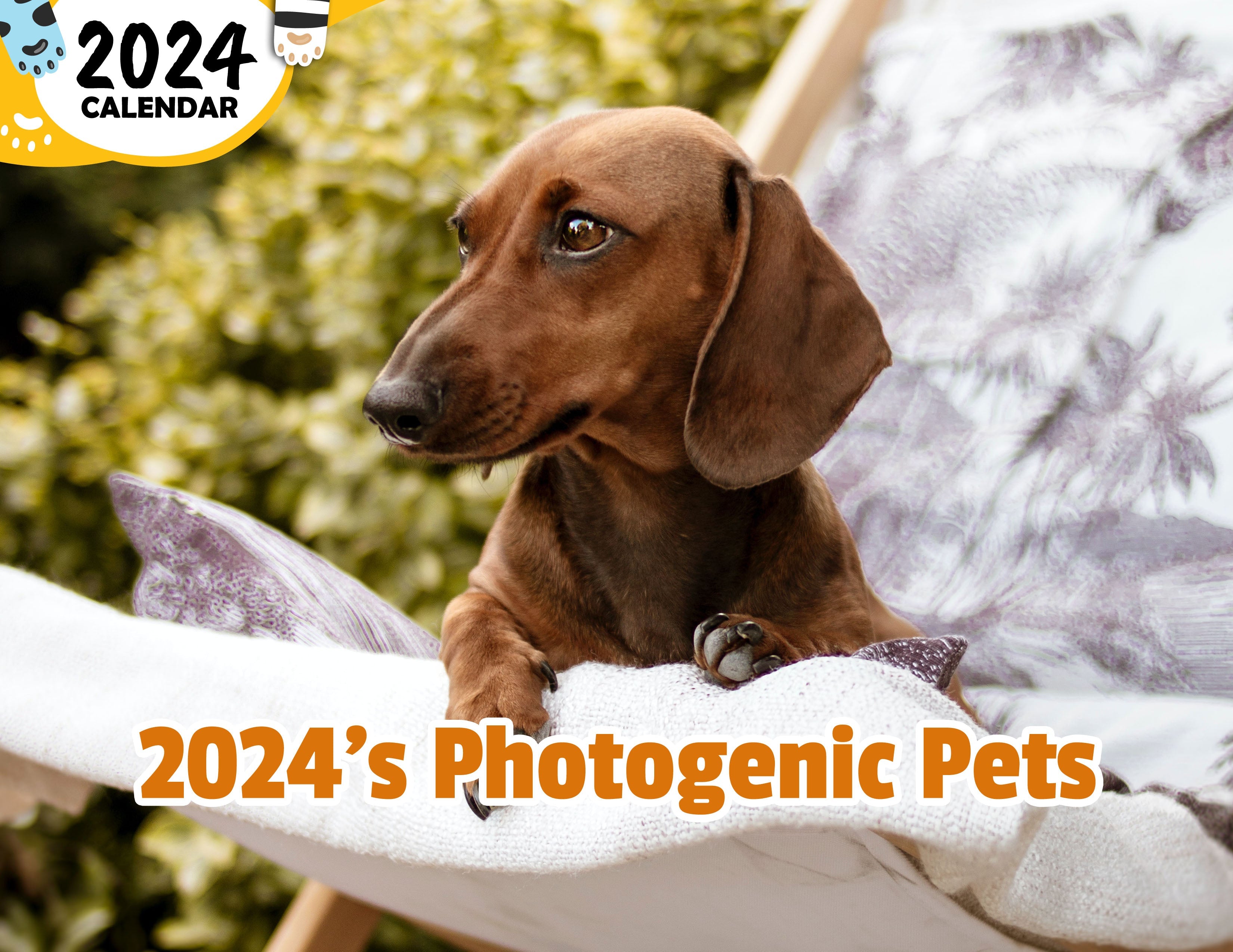 2024's Photogenic Pets 2024 Wall Calendar (Published) Praise My Pet!