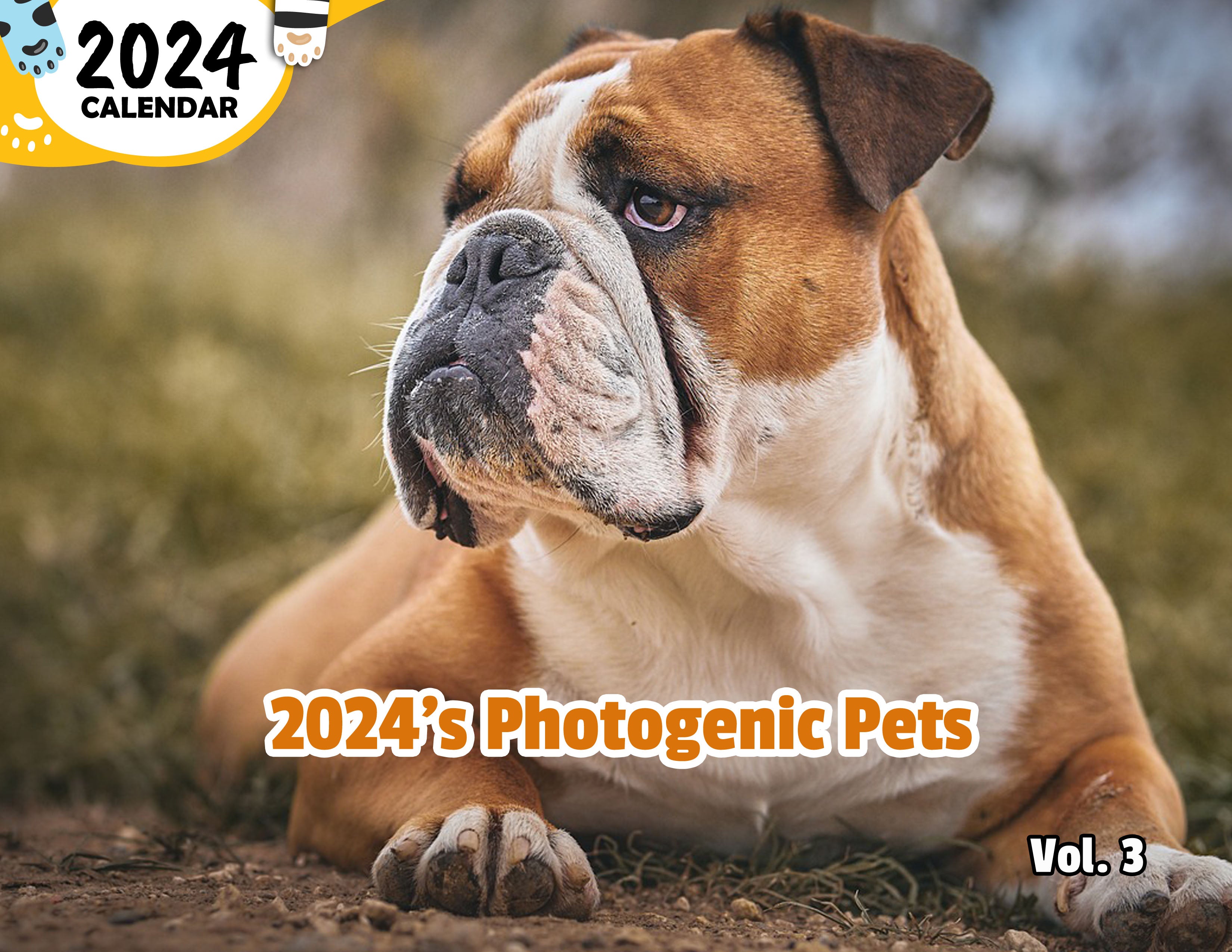 2024's Photogenic Pets Volume Three 2024 Wall Calendar (PreOrder