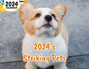 2024's Striking Pets: 2024 Wall Calendar (Published)