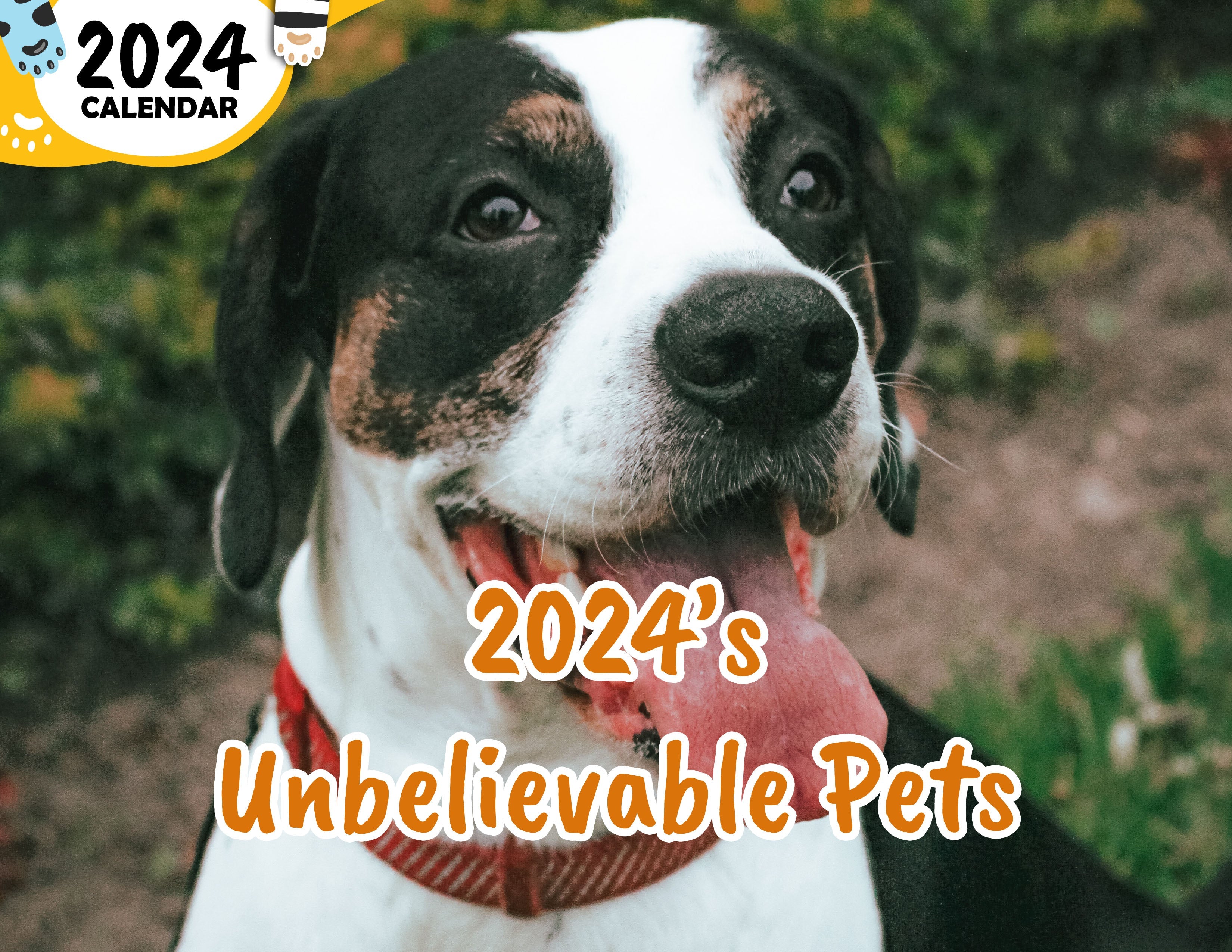 2024 S Unbelievable Pets 2024 Wall Calendar Published Praise My Pet   2024 SUnbelievablePets 