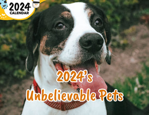 2024's Unbelievable Pets: 2024 Wall Calendar (Published)