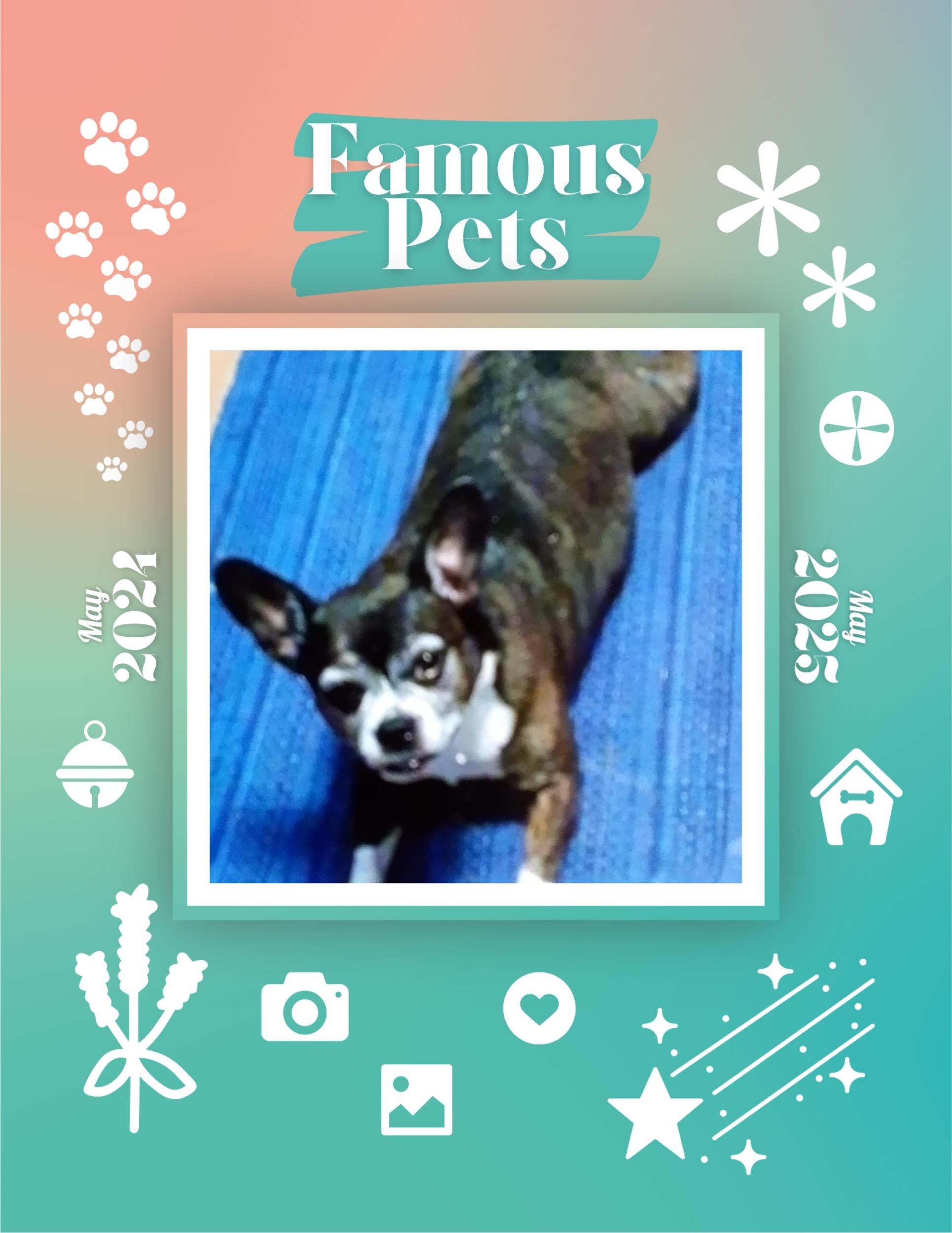 Famous Pets May 2024May 2025 Wall Calendar (PreOrder) Praise My Pet!