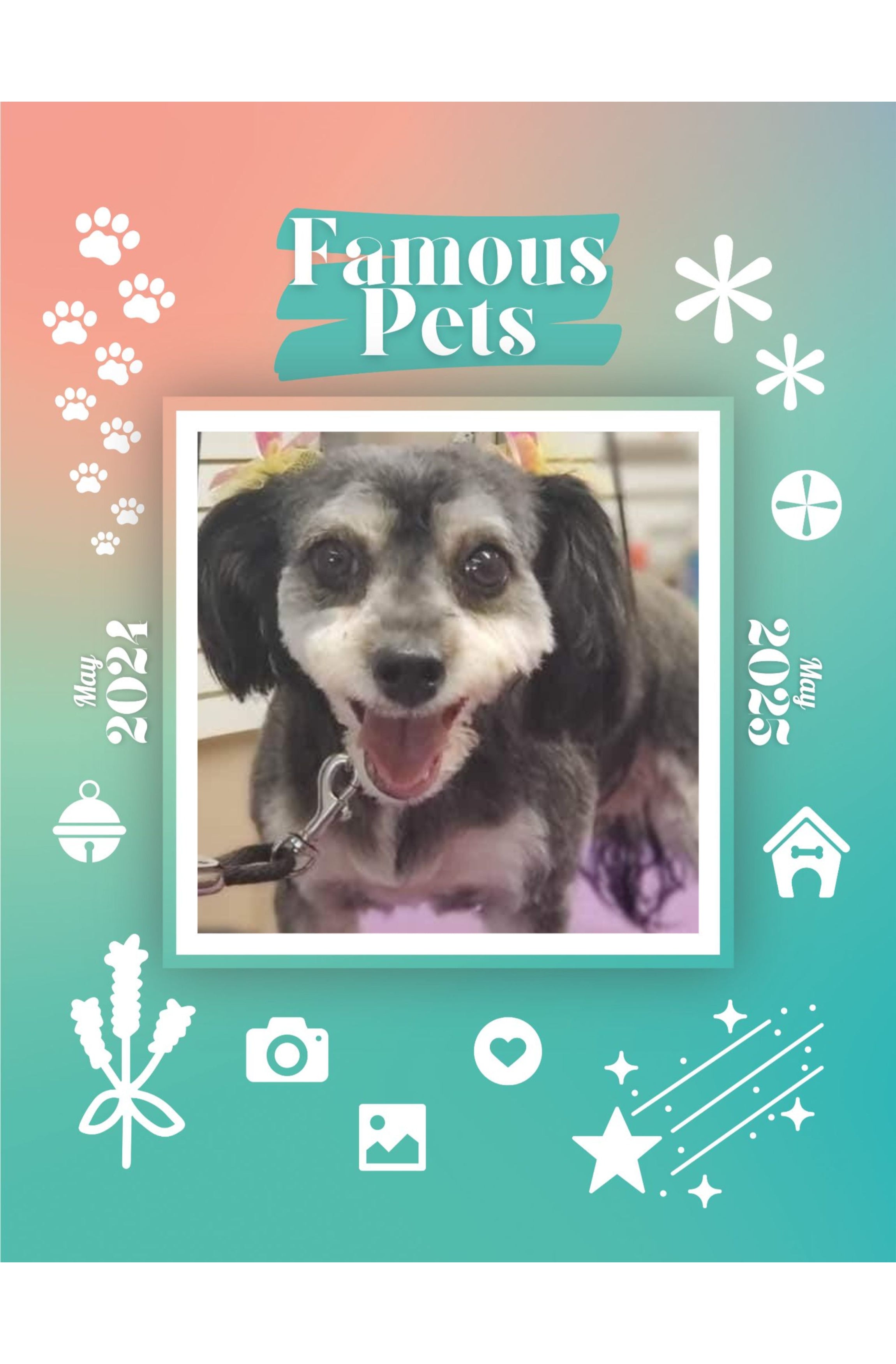 Famous Pets May 2024May 2025 Wall Calendar (PreOrder) Praise My Pet!