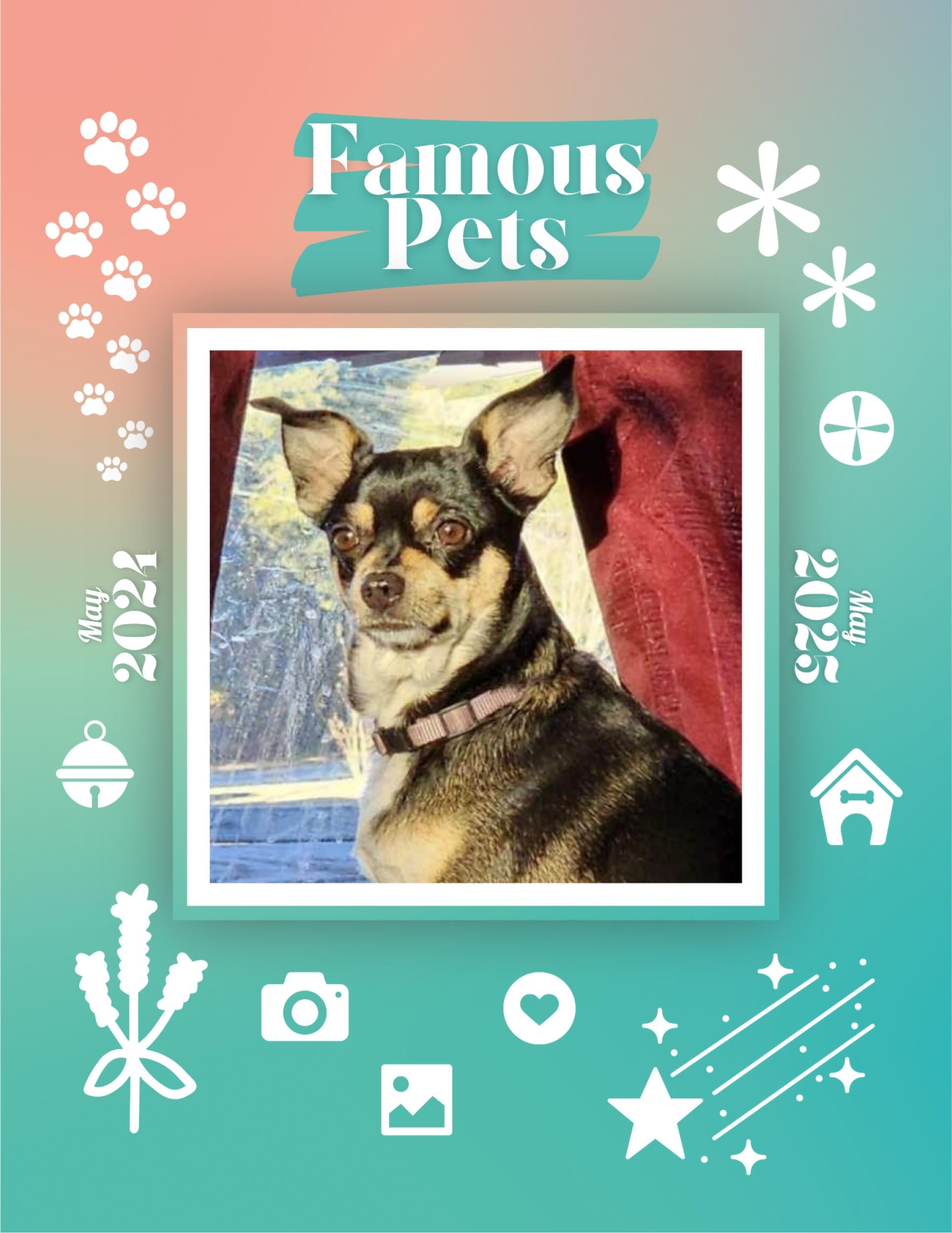 Famous Pets May 2024May 2025 Wall Calendar (PreOrder) Praise My Pet!