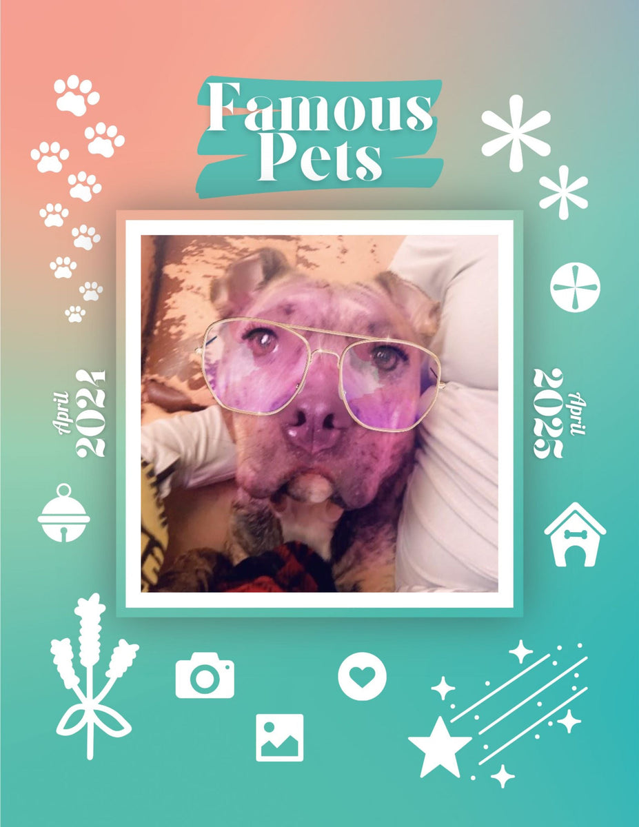 Famous Pets April 2024April 2025 Wall Calendar (PreOrder) Praise