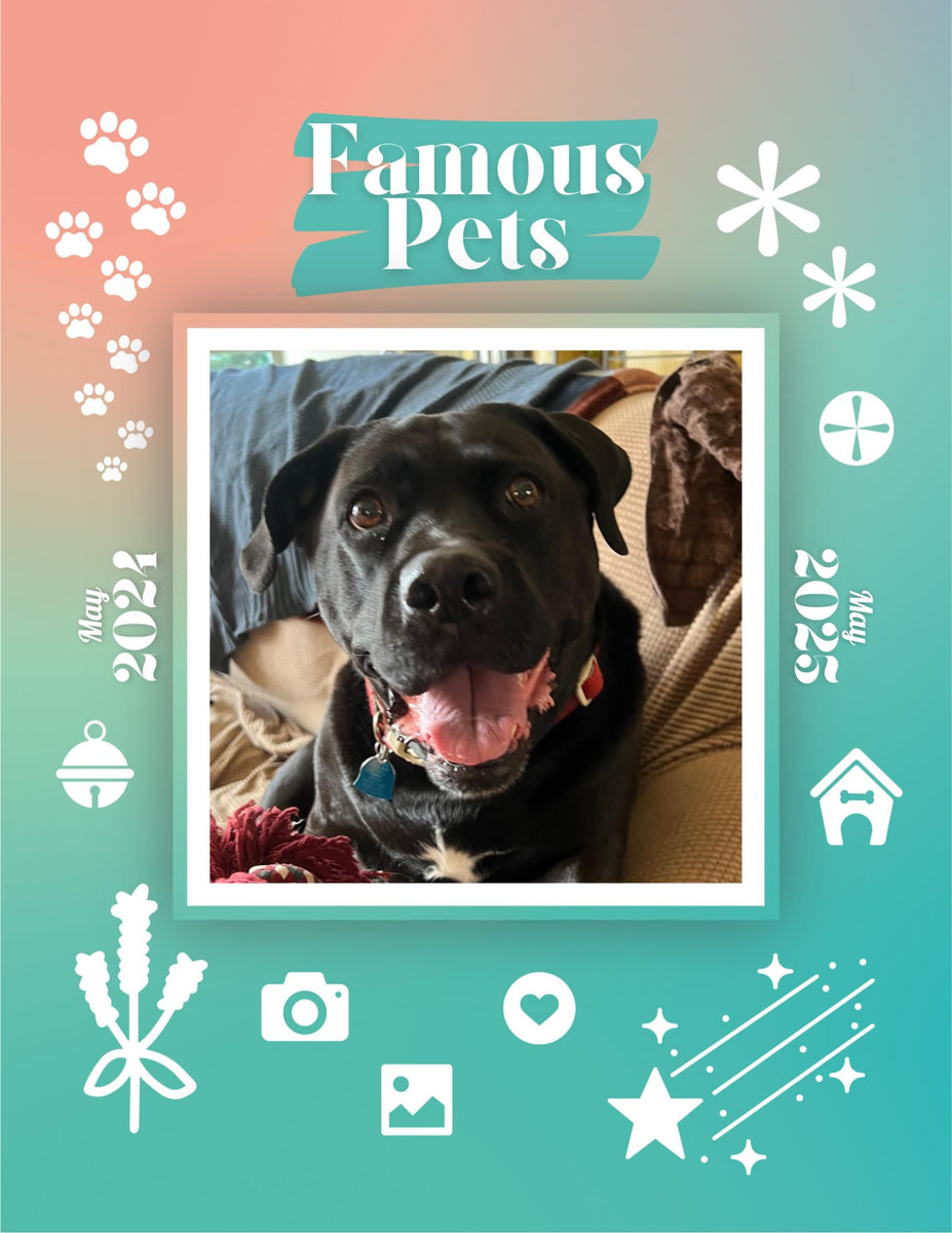 Famous Pets May 2024May 2025 Wall Calendar (PreOrder) Praise My Pet!