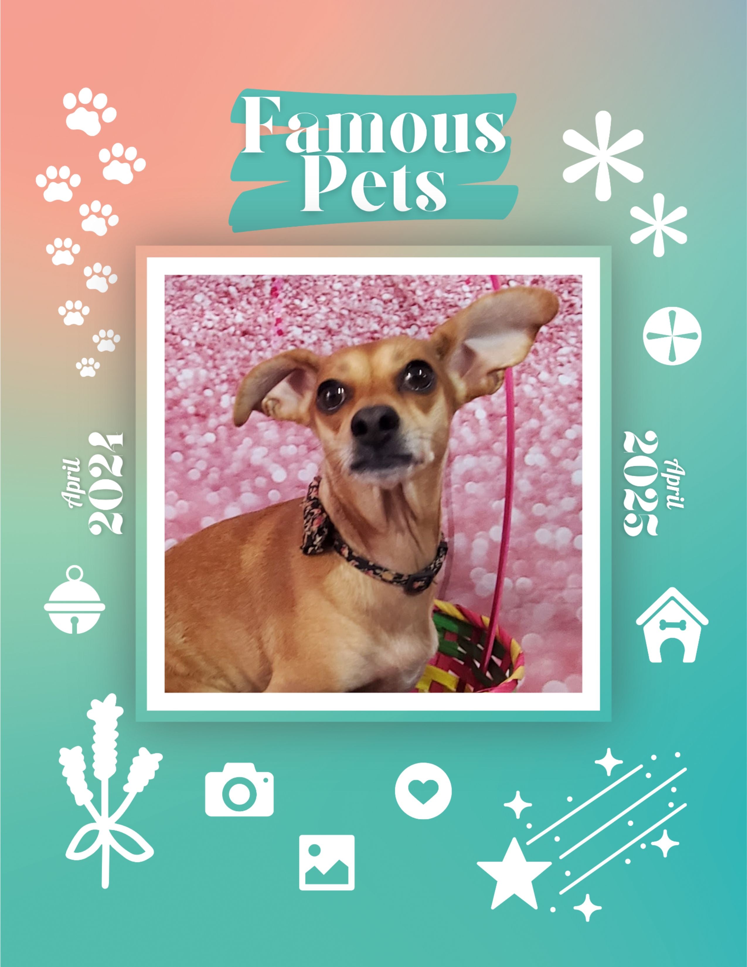 Famous Pets April 2024April 2025 Wall Calendar (PreOrder) Praise