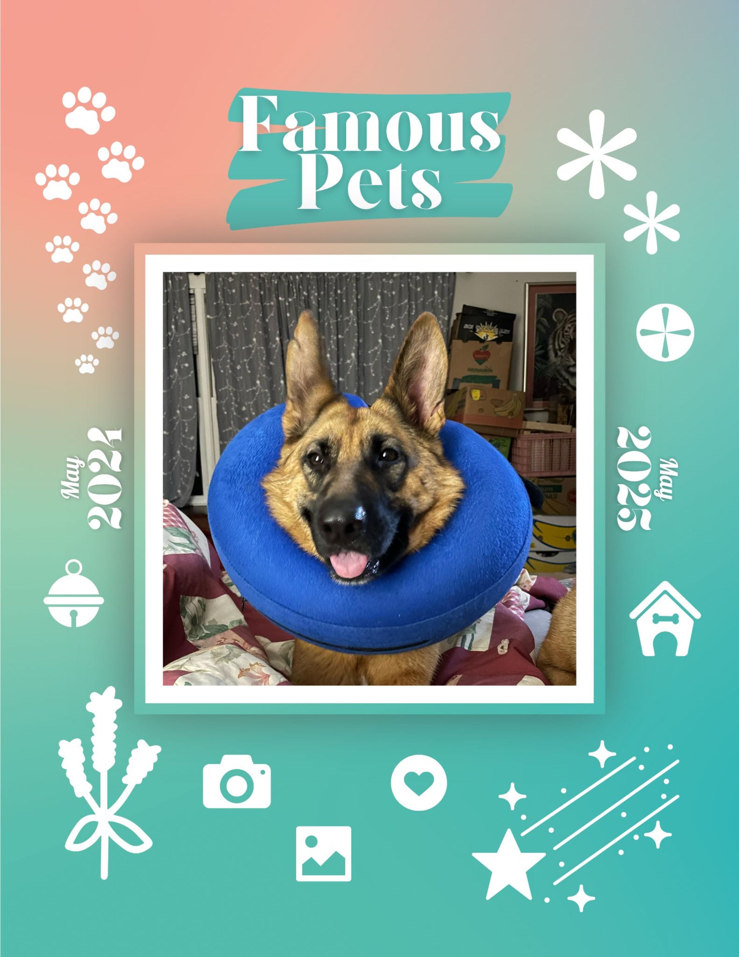 Famous Pets May 2024May 2025 Wall Calendar (PreOrder) Praise My Pet!