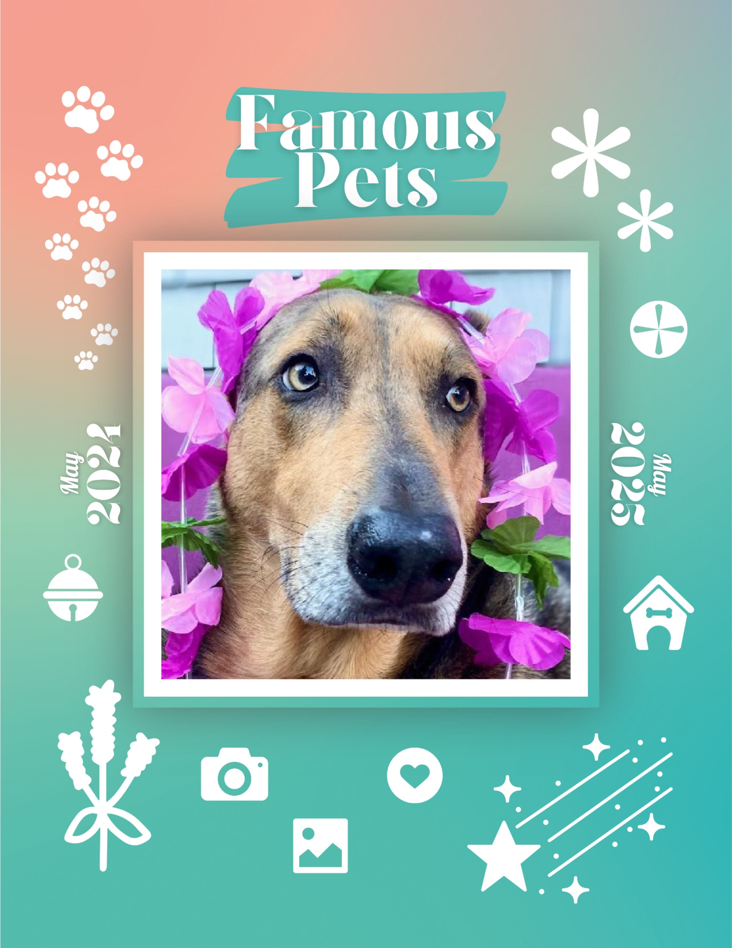 Famous Pets May 2024May 2025 Wall Calendar (PreOrder) Praise My Pet!