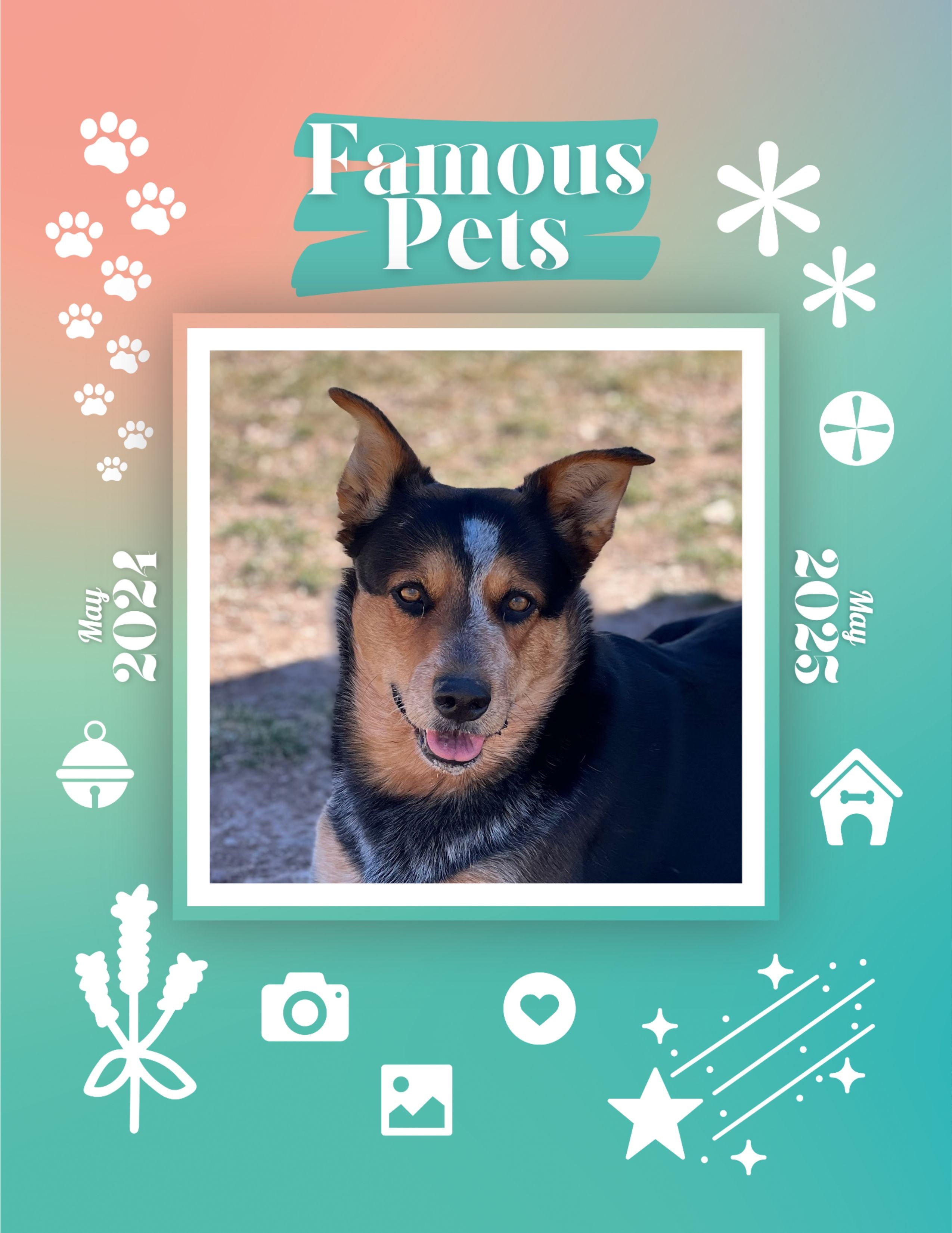 Famous Pets May 2024May 2025 Wall Calendar (PreOrder) Praise My Pet!