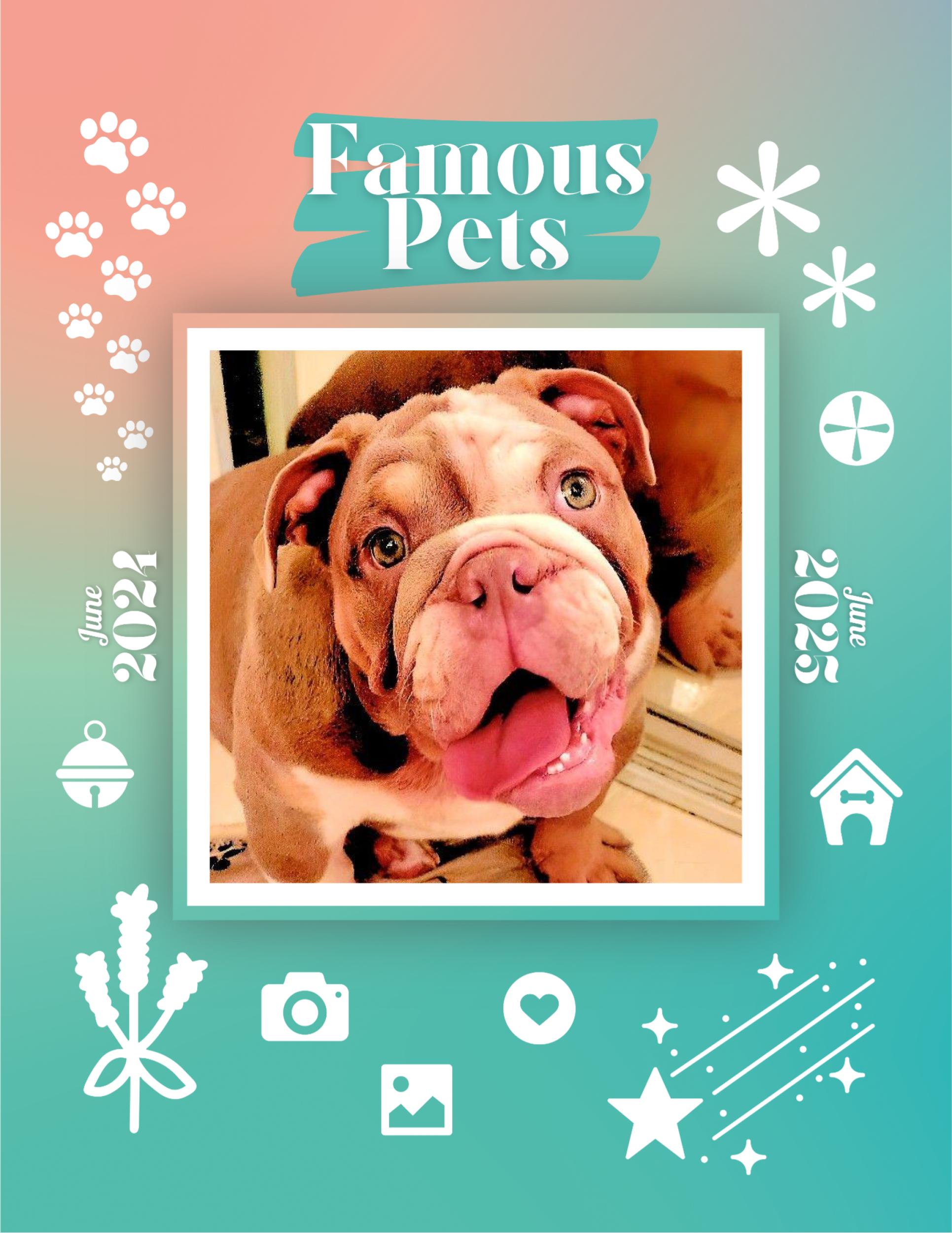 Famous Pets June 2024June 2025 Wall Calendar (PreOrder) Praise My Pet!