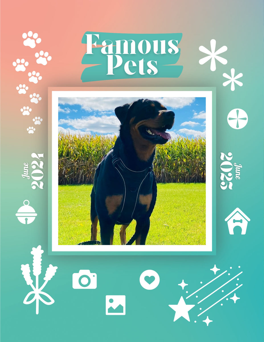 Famous Pets June 2024June 2025 Wall Calendar (PreOrder) Praise My Pet!