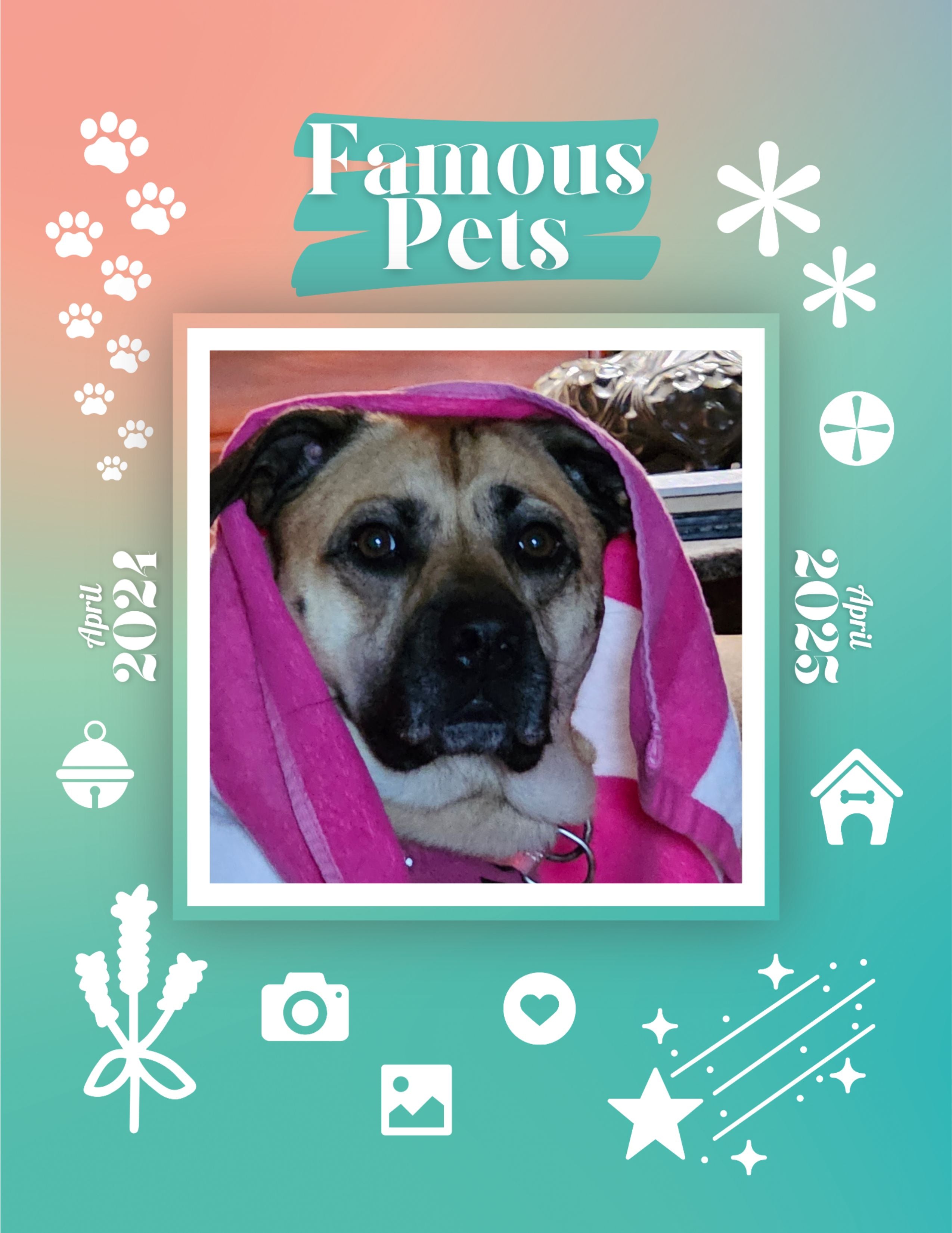 Famous Pets April 2024April 2025 Wall Calendar (PreOrder) Praise