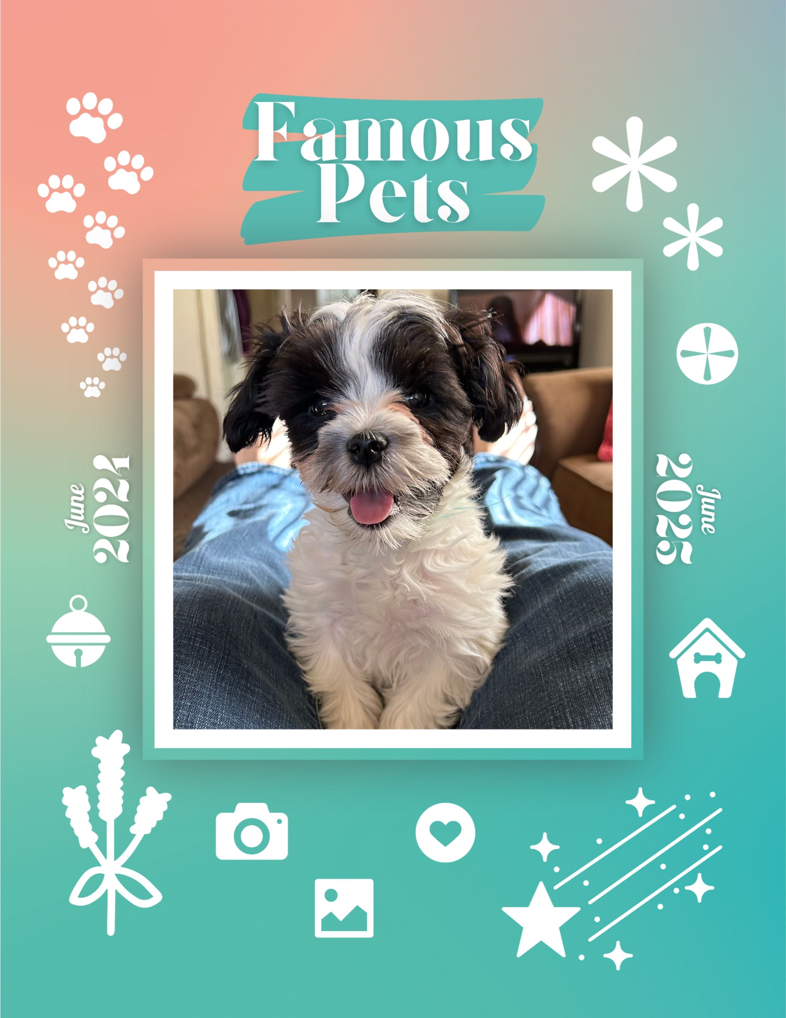 Famous Pets June 2024June 2025 Wall Calendar (PreOrder) Praise My Pet!