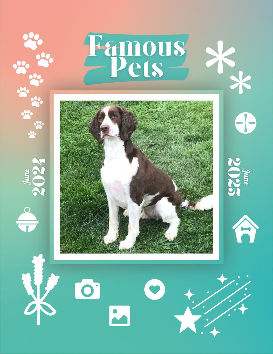 Famous Pets June 2024June 2025 Wall Calendar (PreOrder) Praise My Pet!