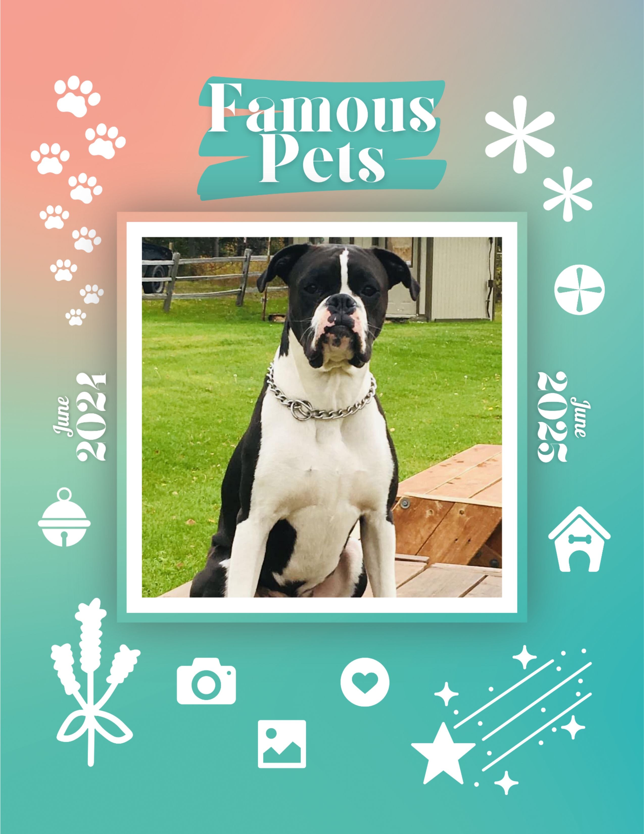 Famous Pets June 2024June 2025 Wall Calendar (PreOrder) Praise My Pet!