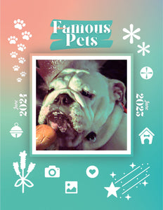 Famous Pets: June 2024-June 2025 Wall Calendar (Pre-Order)