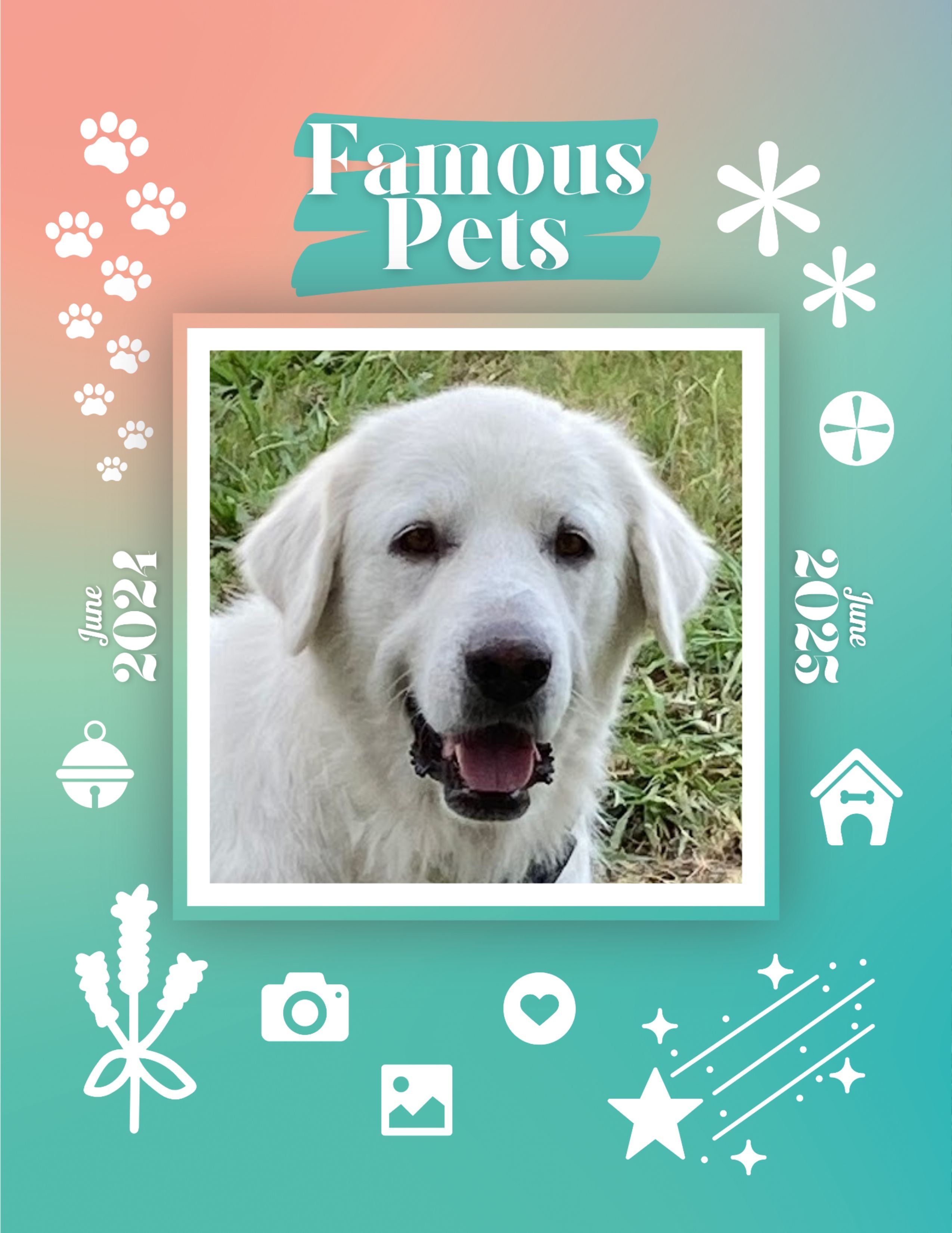 Famous Pets: June 2024-June 2025 Wall Calendar (Pre-Order)