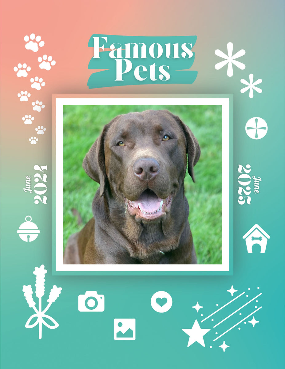 Famous Pets June 2024June 2025 Wall Calendar (PreOrder) Praise My Pet!