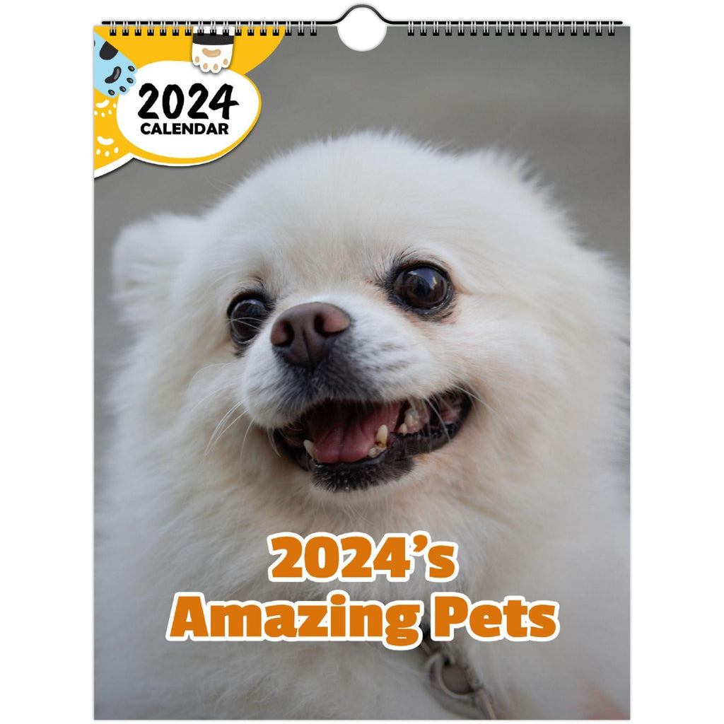 2024's Amazing Pets: 2024 Wall Calendar (Published)