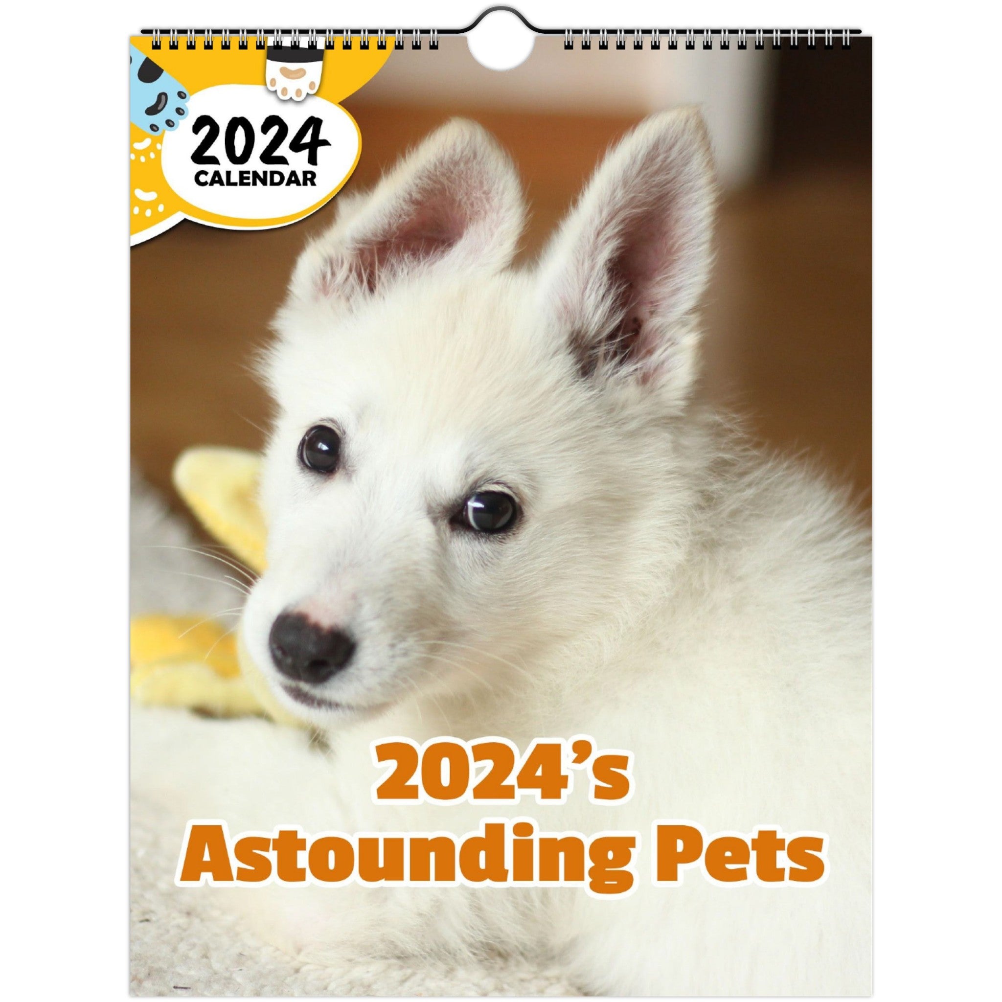 2024's Astounding Pets: 2024 Wall Calendar (Published)