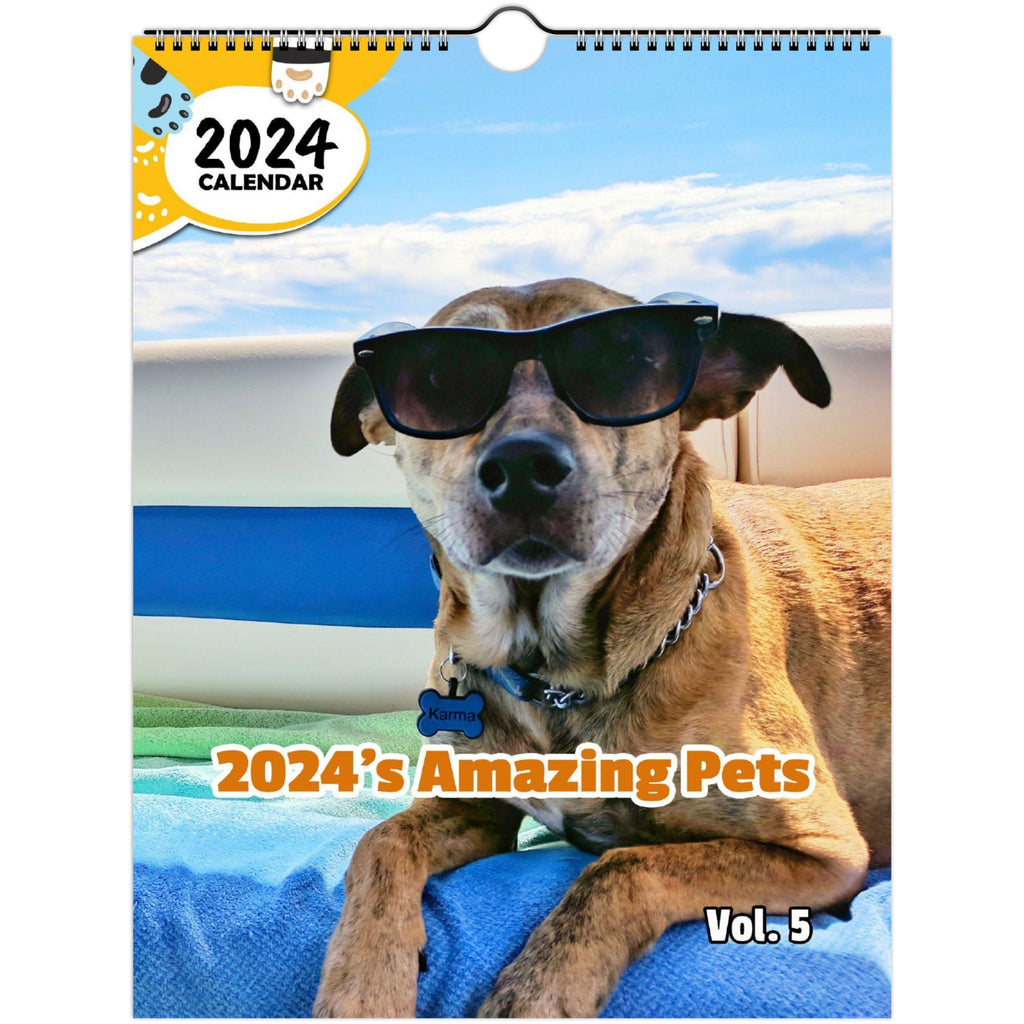 2024's Amazing Pets Volume Five: 2024 Wall Calendar (Published)