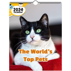 Angry Cat 2021 Wall Calendar