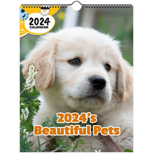 2024's Beautiful Pets: 2024 Wall Calendar (Published)