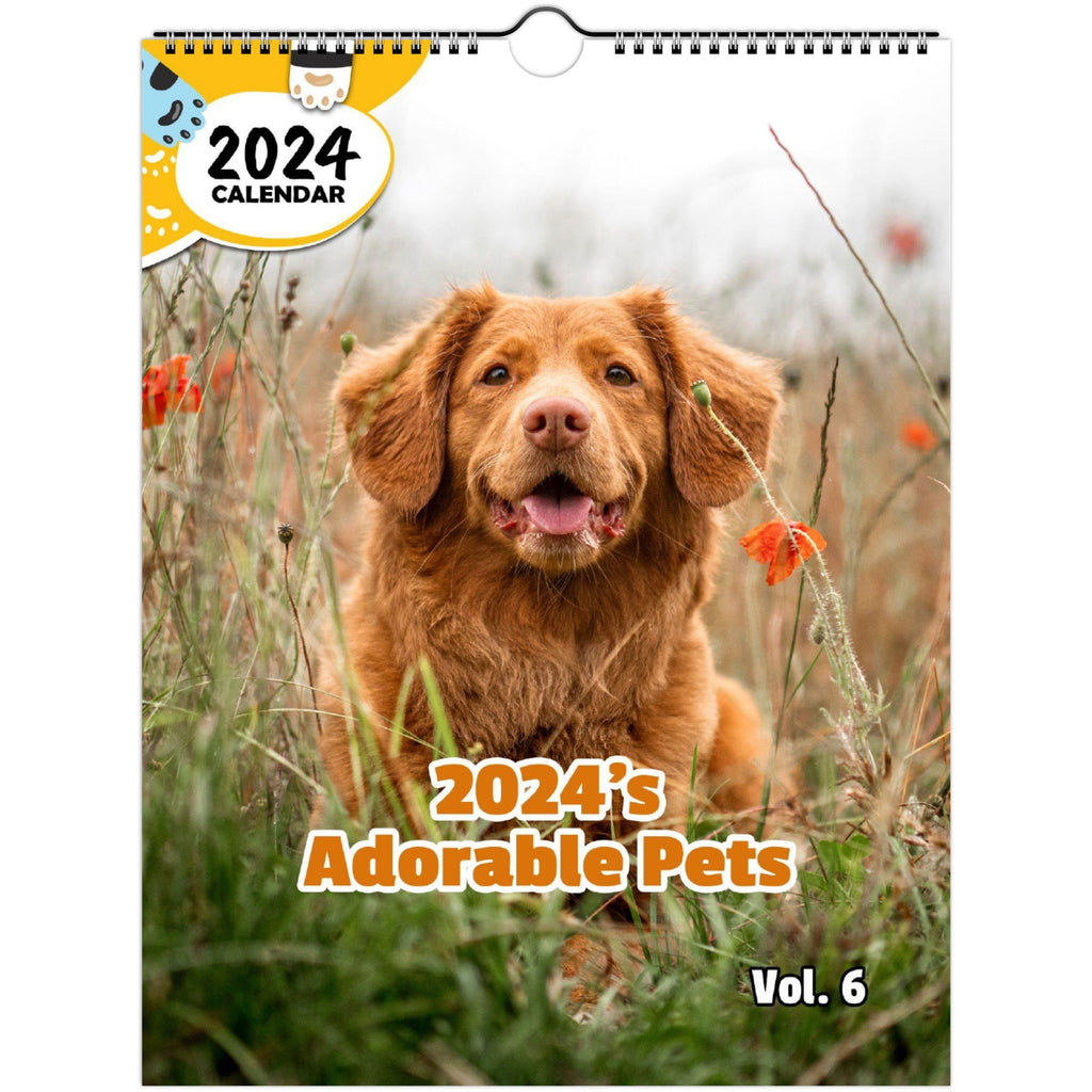 2024's Adorable Pets Volume Six: 2024 Wall Calendar (Published)