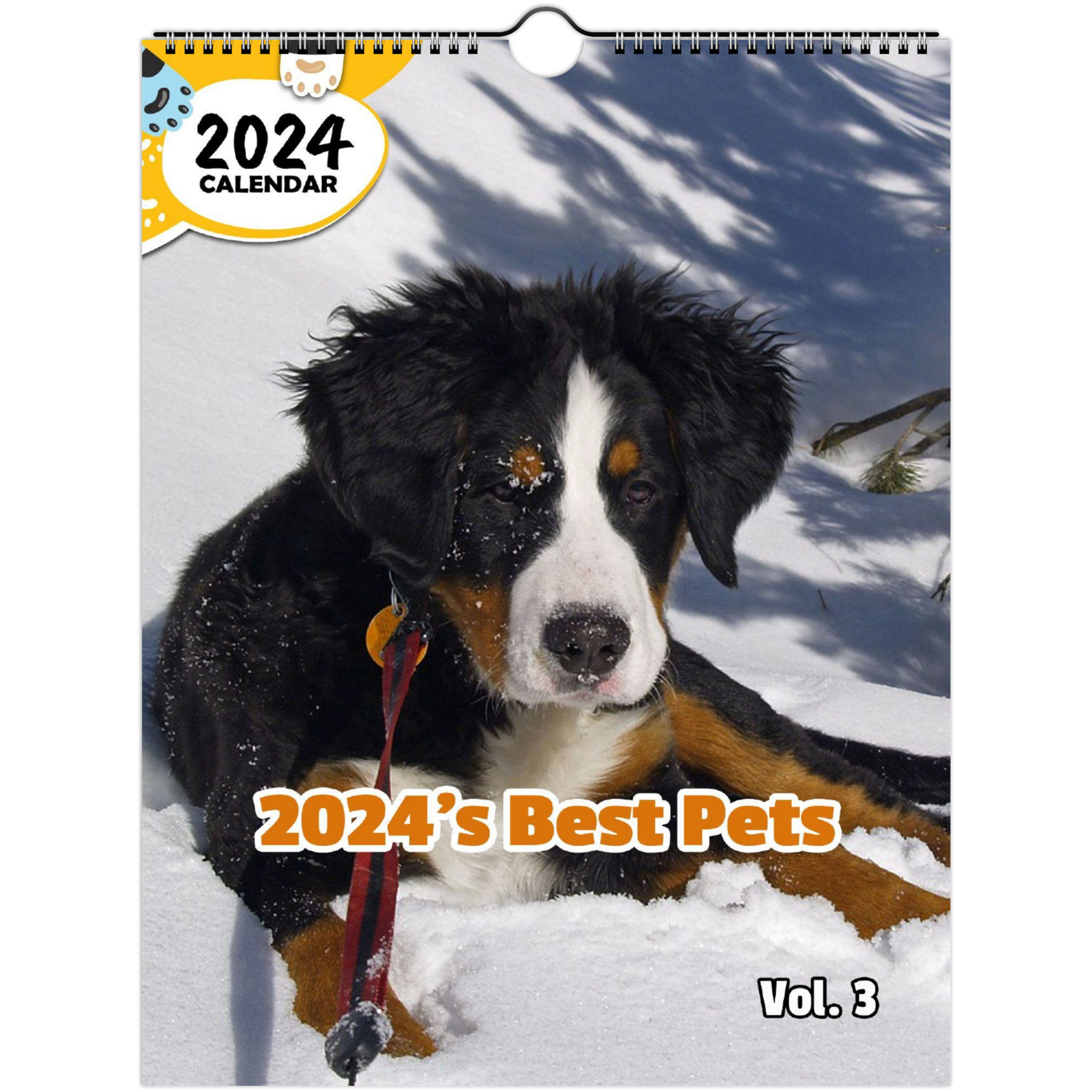 2024's Best Pets Volume Three: 2024 Wall Calendar (Published)