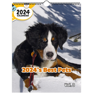 2024's Best Pets Volume Three: 2024 Wall Calendar (Published)